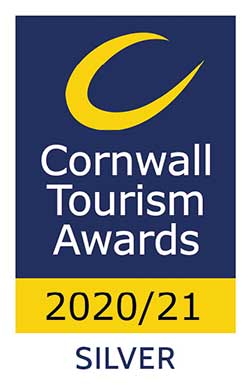SILVER-AWARD-2021 SILVER-AWARD-2021