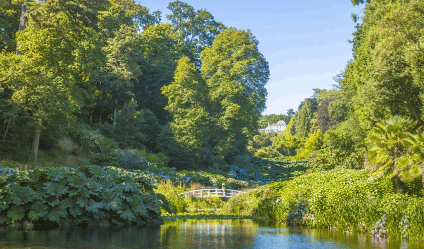 Trebah Garden | Cornwall