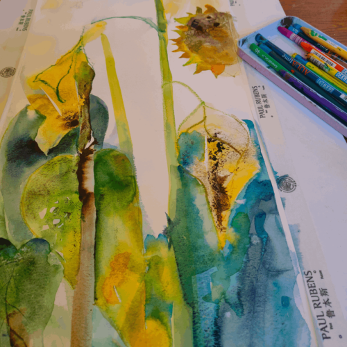 Spring Watercolour Painting Break | Budock Vean Hotel | UK