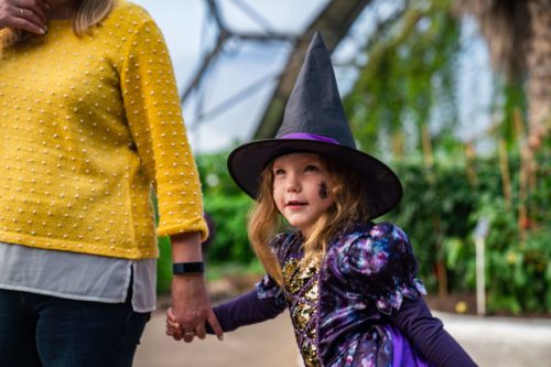 Halloweden | The Eden Project | Cornwall | UK