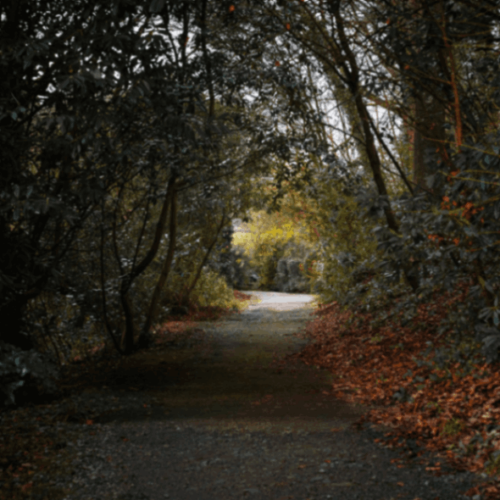 Budock Vean Trail through Gardens