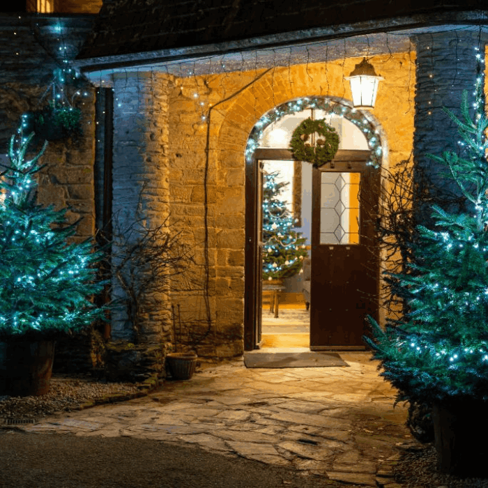 Christmas Trees at Budock Vean | Cornwall | UK