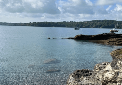 Helford River | Wild Swimming | Budock Vean Hotel | UK