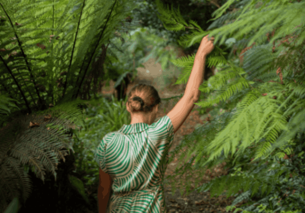 Sup Tropical Gardens | Budock Vean Hotel | Cornwall | UK